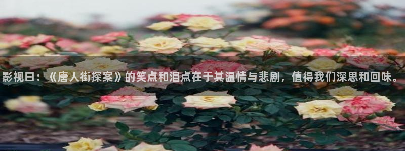www.蜜桃电影：影视曰：《唐人街探案》的笑点和泪点在于其温情与悲剧，值得我们深思和回味。