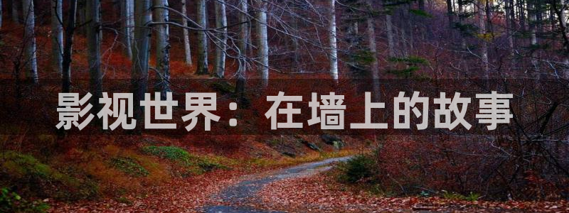 蜜桃影音在线观看：影视世界：在墙上的故事