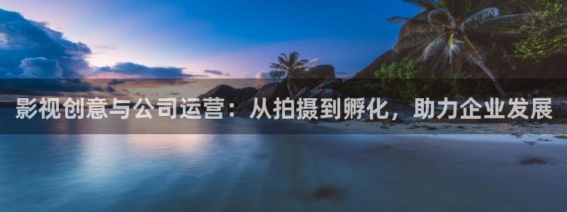 水蜜桃大片：影视创意与公司运营：从拍摄到孵化，助力企业发展