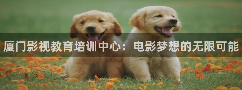 水蜜桃电影：厦门影视教育培训中心：电影梦想的无限可能
