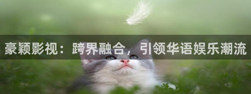 蜜桃免费观看高清电视剧：豪颖影视：跨界融合，引领华语娱乐潮流