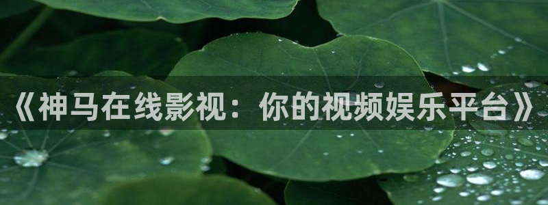 小蜜桃在线播放：《神马在线影视：你的视频娱乐平台》