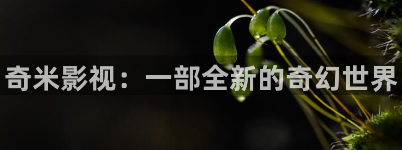 《美丽小蜜桃2》电影：奇米影视：一部全新的奇幻世界